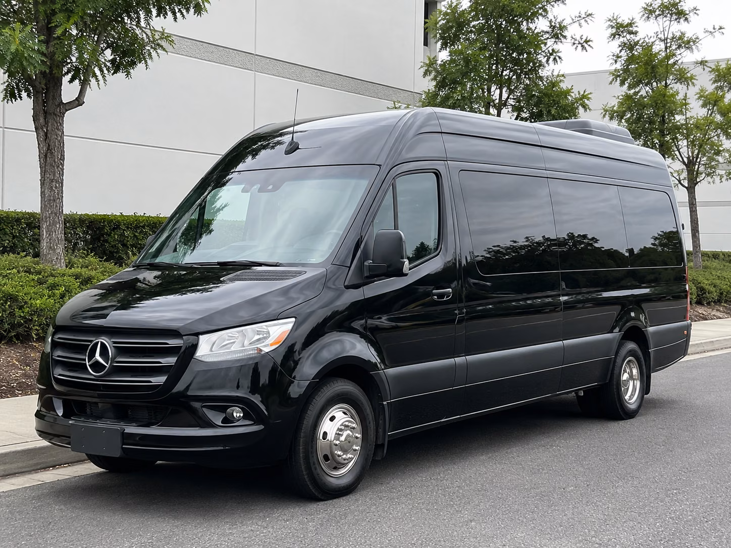 12 passenger sprinter van