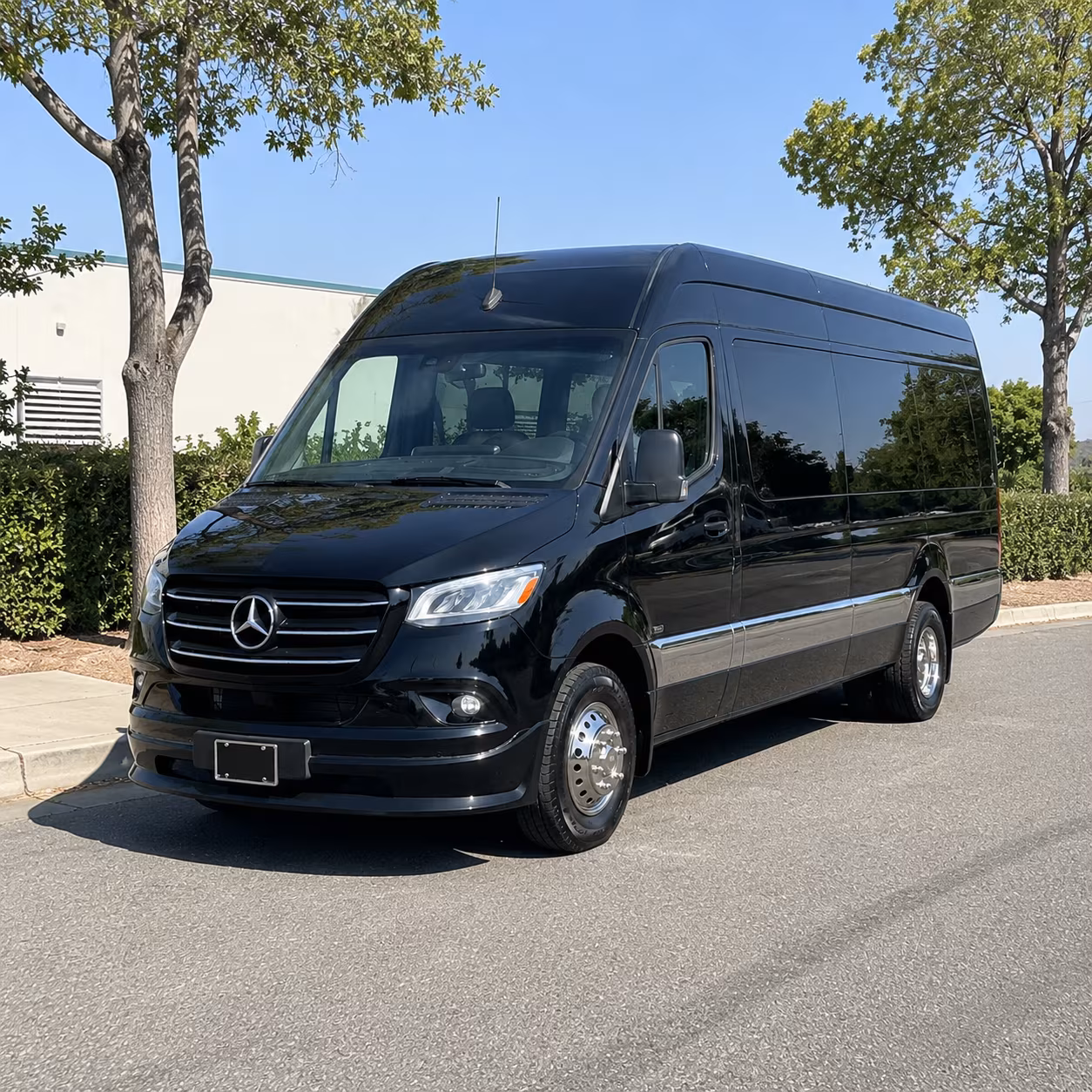 15 passenger sprinter van
