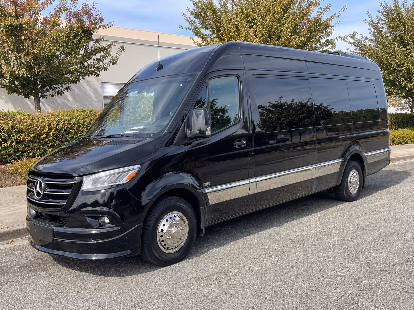 kid and tween birthday sprinter van parties in tyler texas