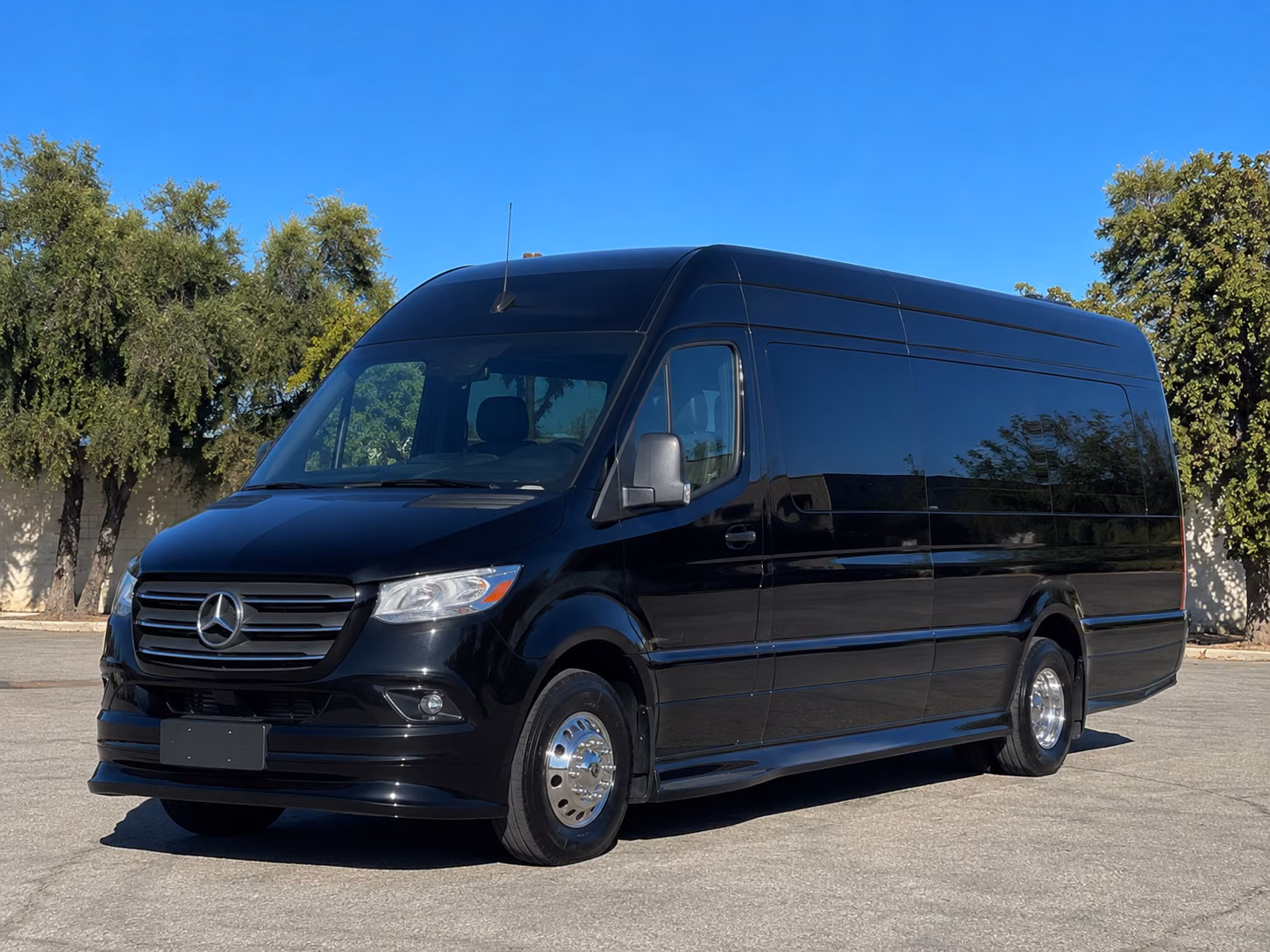 tyler 18 passenger sprinter van
